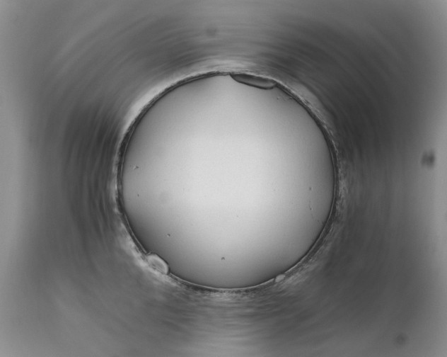 X0000111030904200907091542