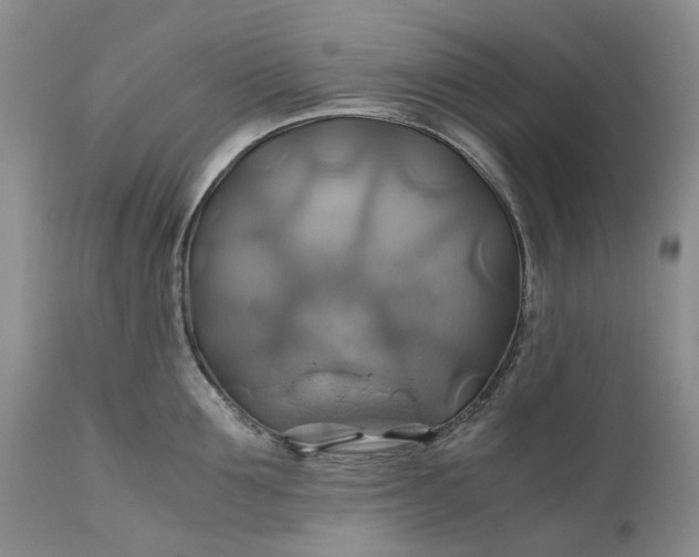 X0000111030907200907091542