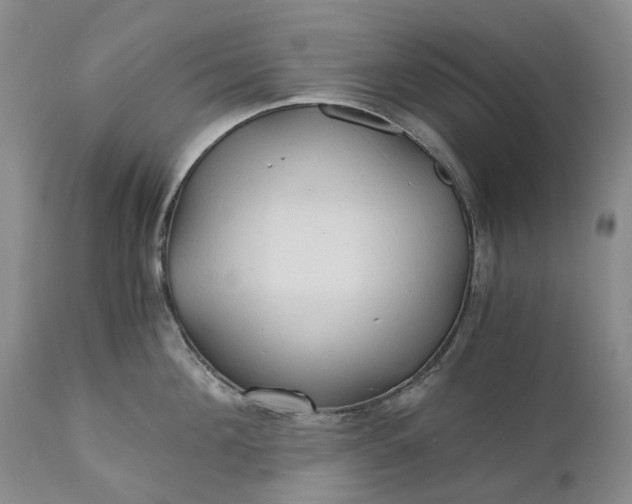 X0000111030908200907091542