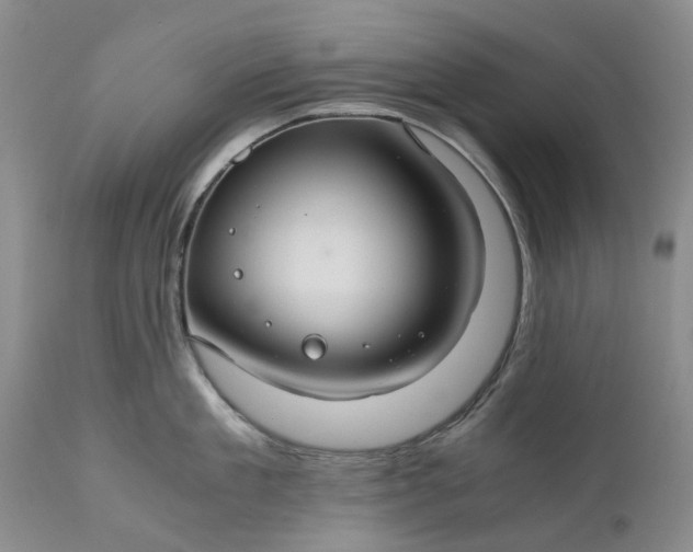 X0000111030909200907091542