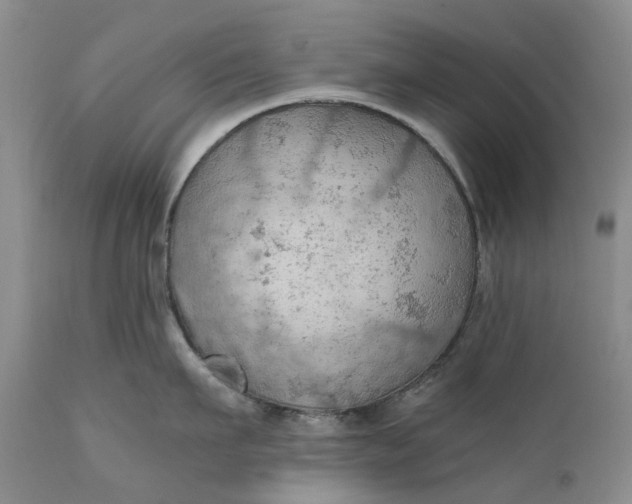 X0000111030911200907091542