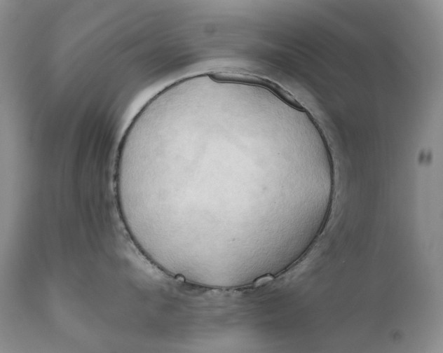 X0000111030912200907091542