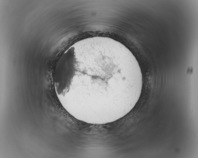 X0000111030918200907091541
