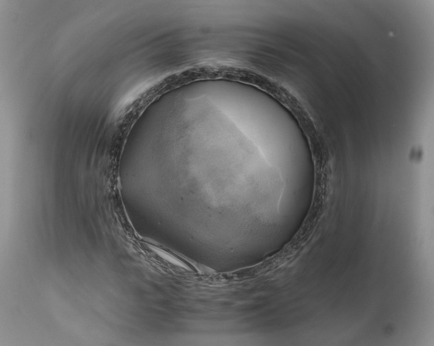 X0000111030919200907091541