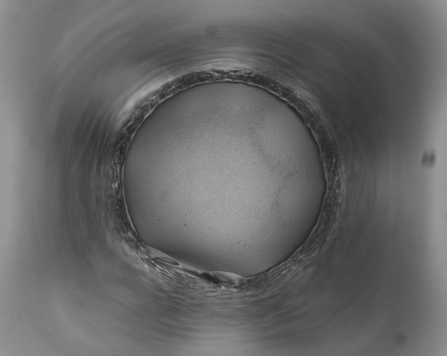 X0000111030920200907091541