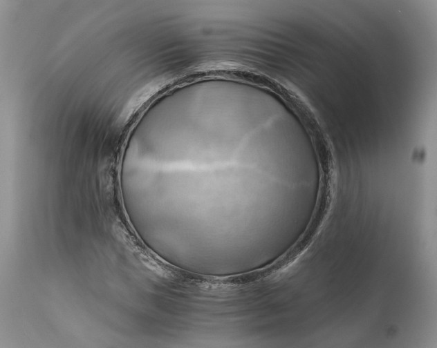 X0000111030921200907091541