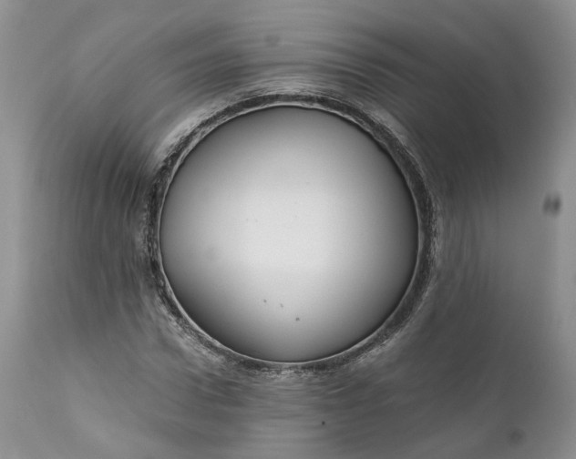 X0000111030922200907091541