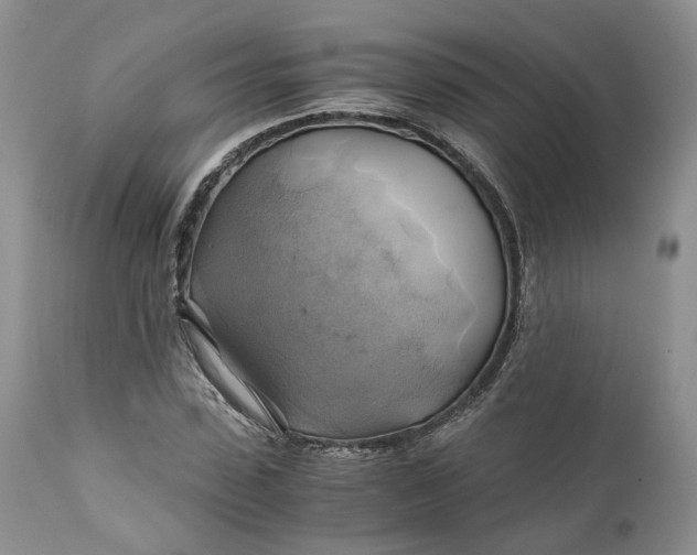 X0000111030923200907091541