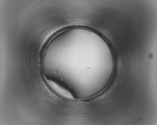 X0000111030926200907091541