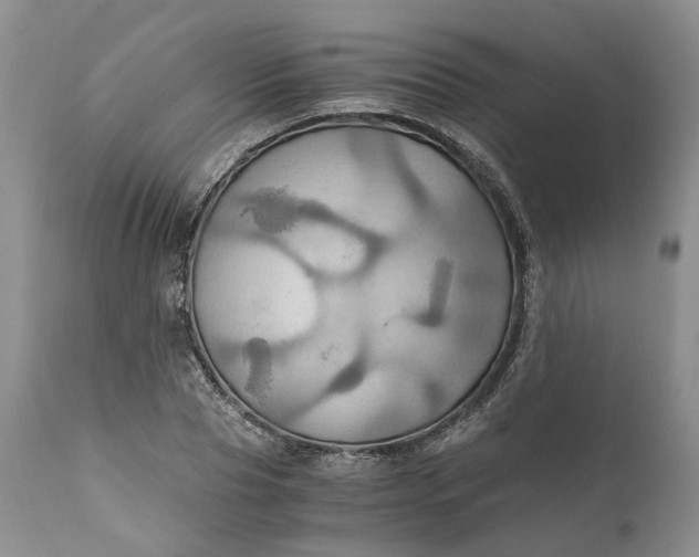 X0000111030929200907091541