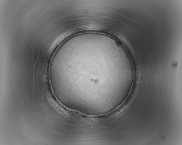 X0000111030930200907091541