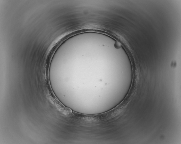 X0000111030931200907091541
