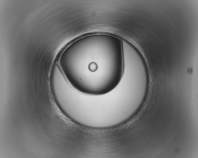 X0000111030936200907091541