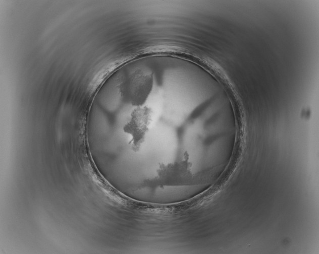 X0000111030937200907091541