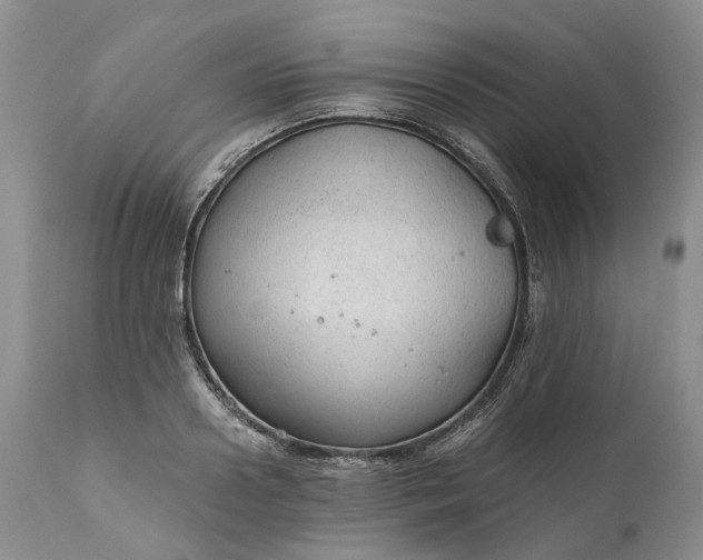 X0000111030938200907091541