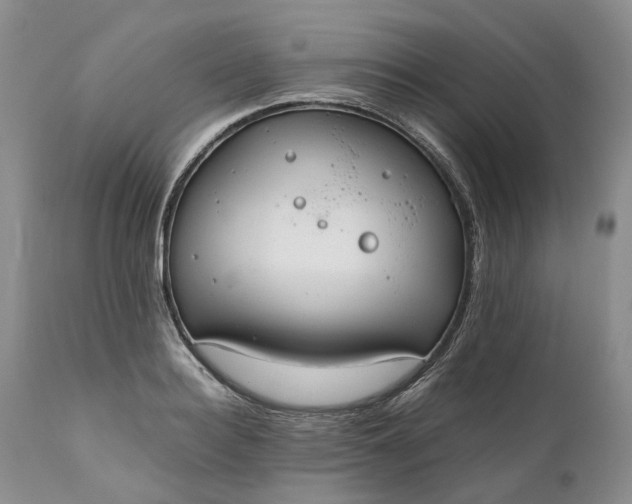 X0000111030940200907091541