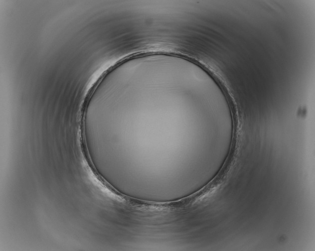 X0000111030941200907091541