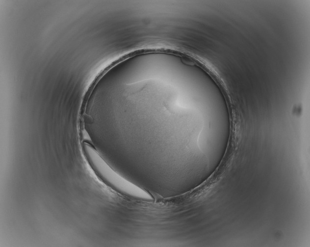 X0000111030943200907091541