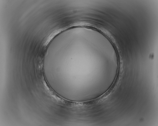 X0000111030945200907091542