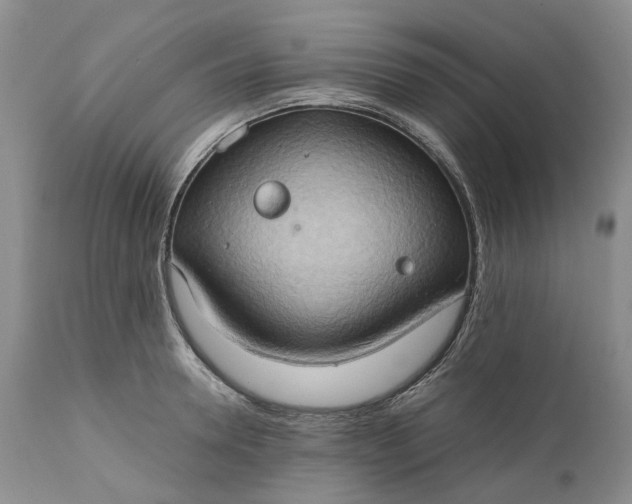 X0000111030946200907091542