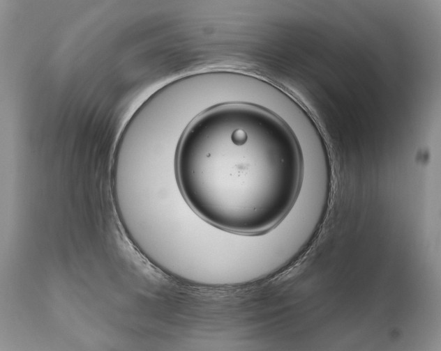 X0000111030948200907091542