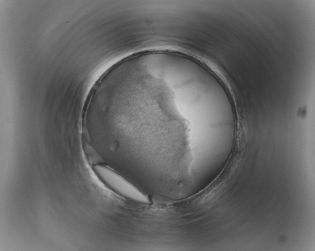 X0000111030951200907091542