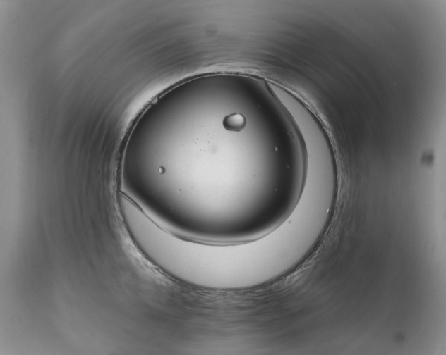 X0000111030952200907091542