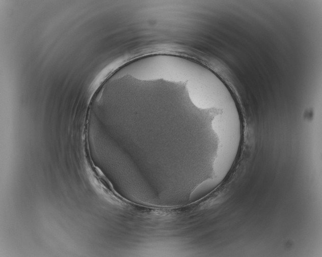 X0000111030954200907091542