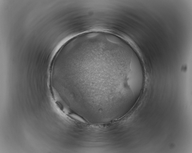 X0000111030955200907091542