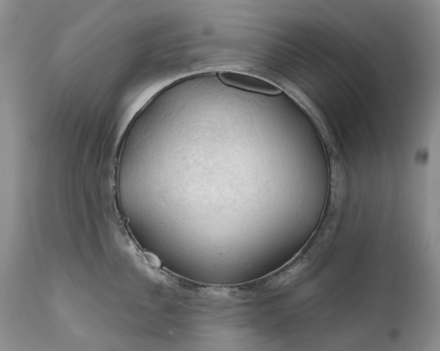 X0000111030956200907091542
