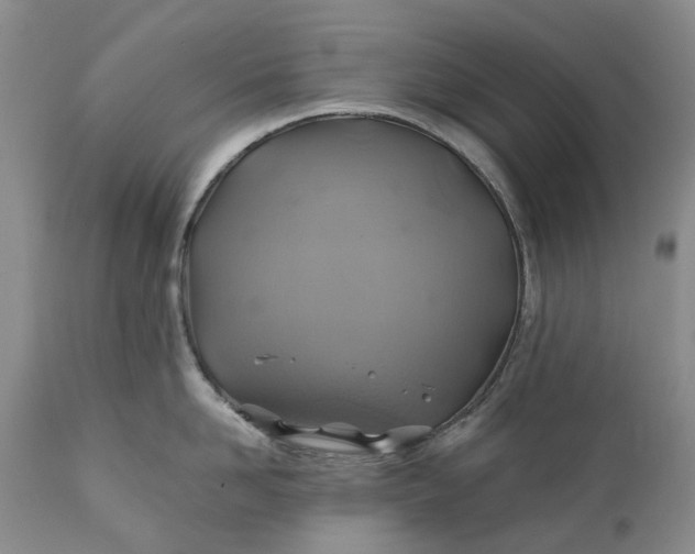 X0000111030958200907091542