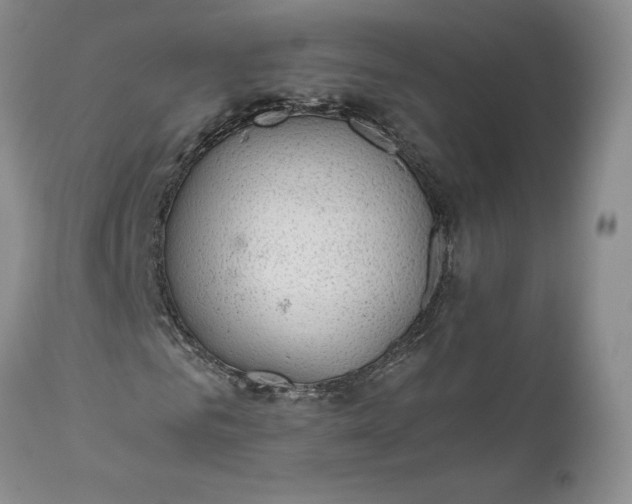 X0000111030961200907091541