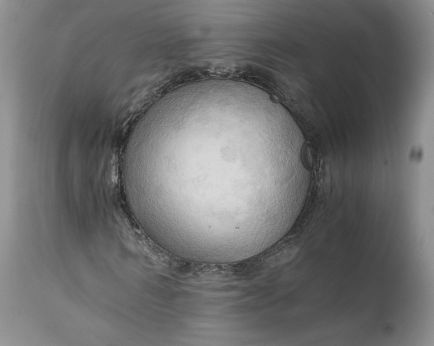 X0000111030962200907091541