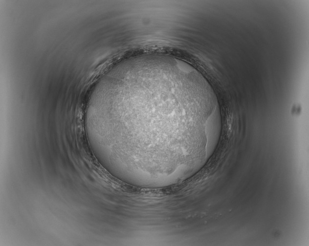 X0000111030964200907091541