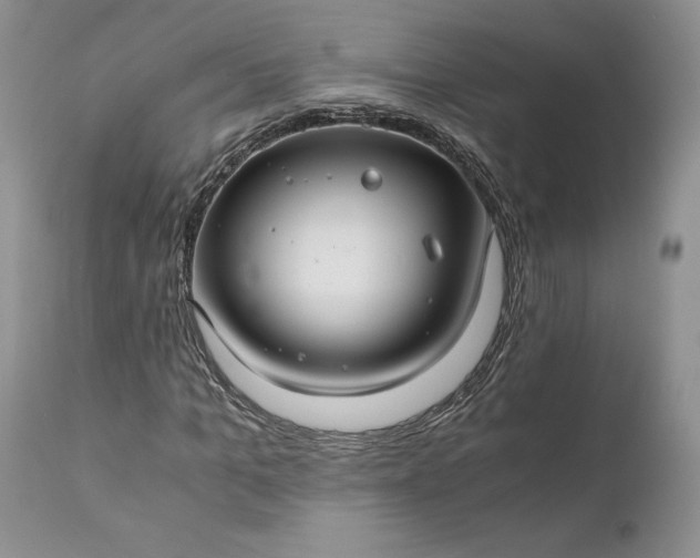 X0000111030965200907091541