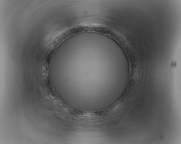 X0000111030966200907091541