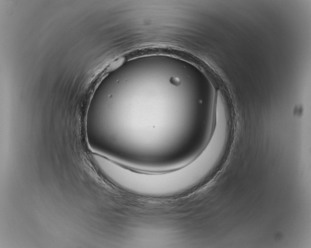 X0000111030969200907091541