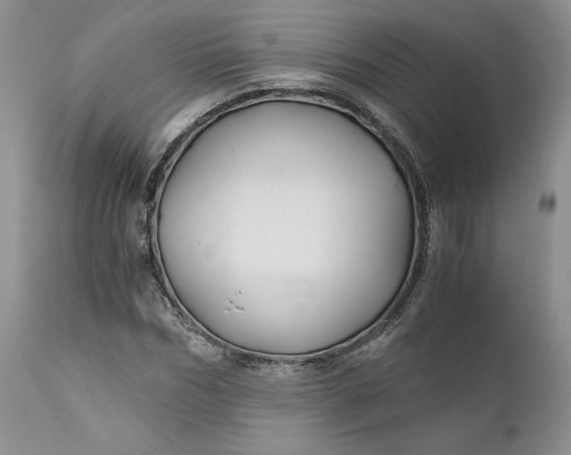 X0000111030970200907091541