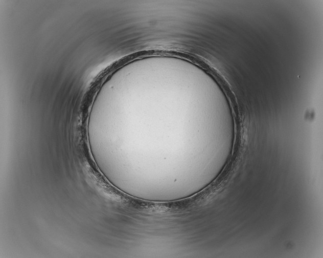 X0000111030971200907091541