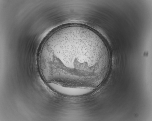 X0000111030972200907091541