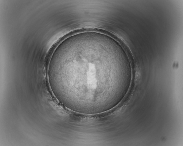 X0000111030973200907091541