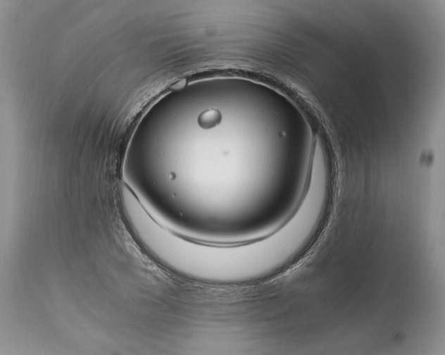 X0000111030977200907091541