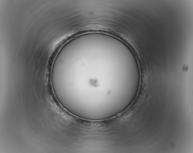 X0000111030979200907091541