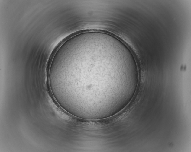 X0000111030980200907091541