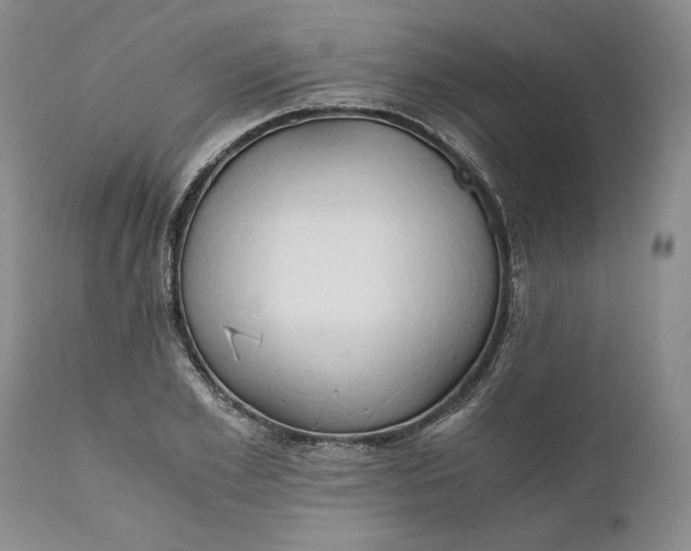 X0000111030981200907091541