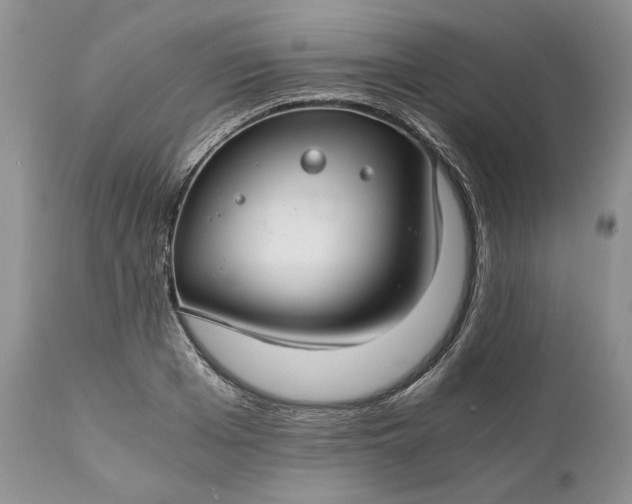 X0000111030985200907091541