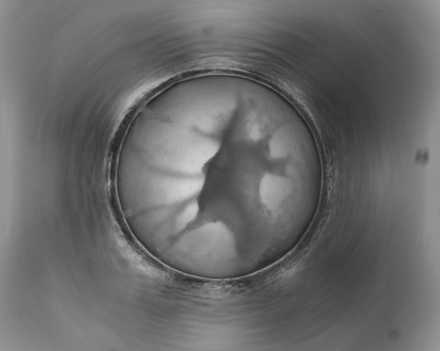 X0000111030987200907091541