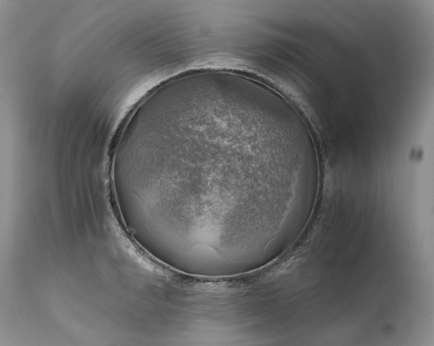 X0000111030990200907091541