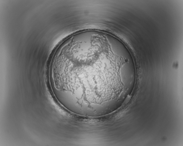 X0000111030991200907091541