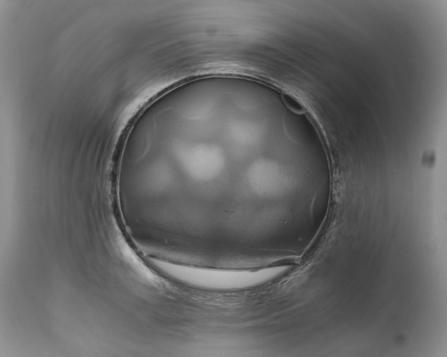 X0000111030995200907091541